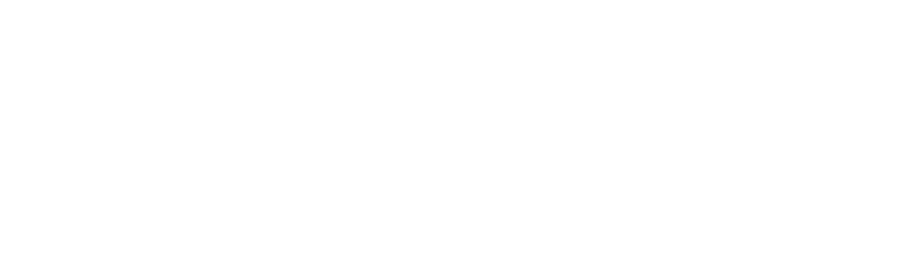 A future where Asian Americans & all marginalized peoples live and thrive in collective freedom